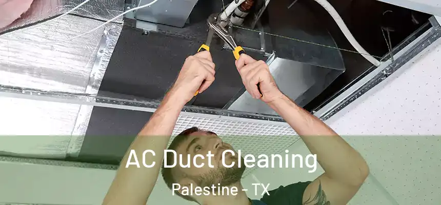  AC Duct Cleaning Palestine - TX