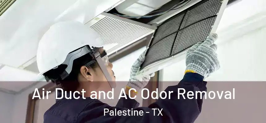  Air Duct and AC Odor Removal Palestine - TX