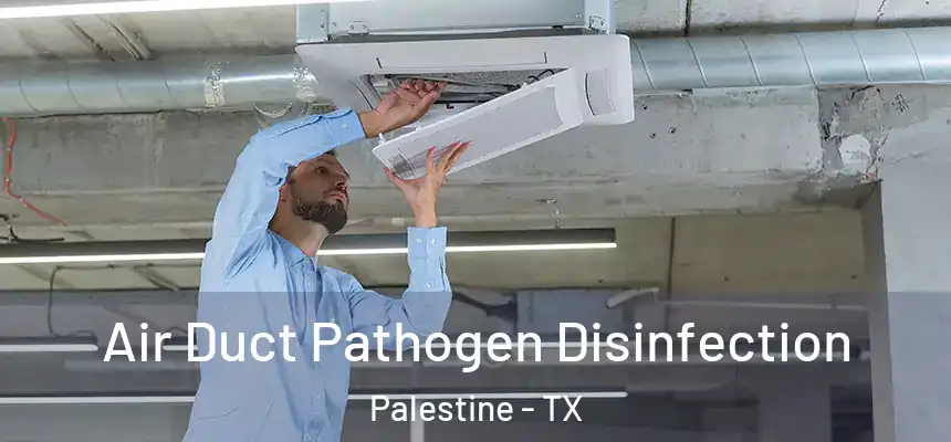  Air Duct Pathogen Disinfection Palestine - TX