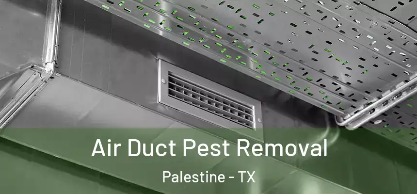  Air Duct Pest Removal Palestine - TX