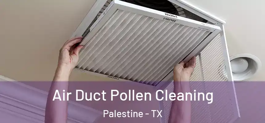  Air Duct Pollen Cleaning Palestine - TX