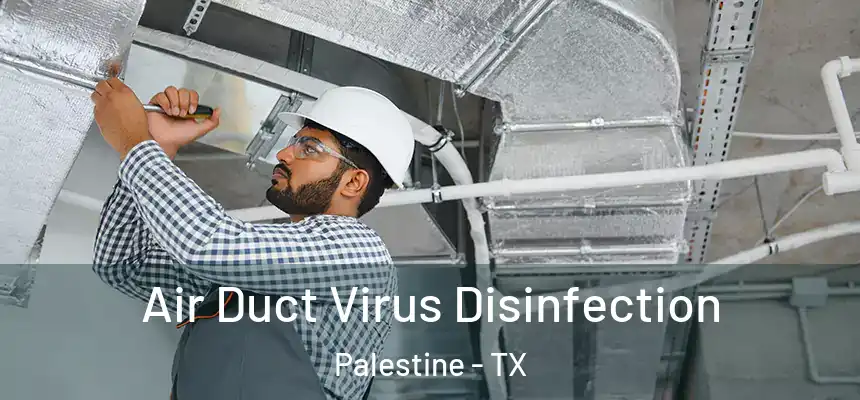  Air Duct Virus Disinfection Palestine - TX