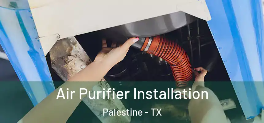  Air Purifier Installation Palestine - TX