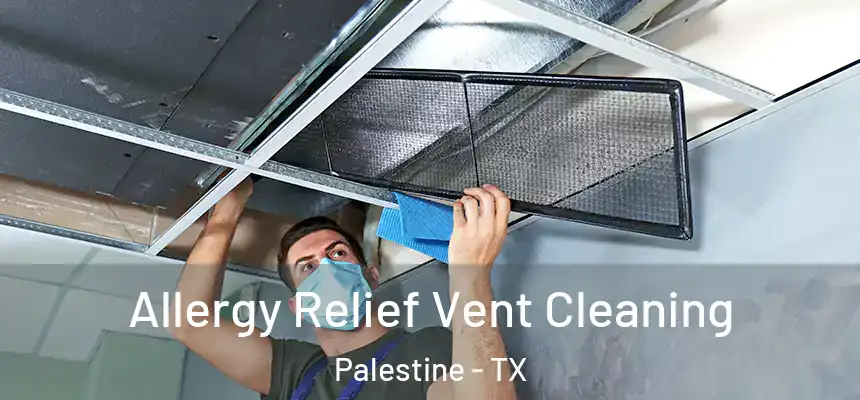  Allergy Relief Vent Cleaning Palestine - TX