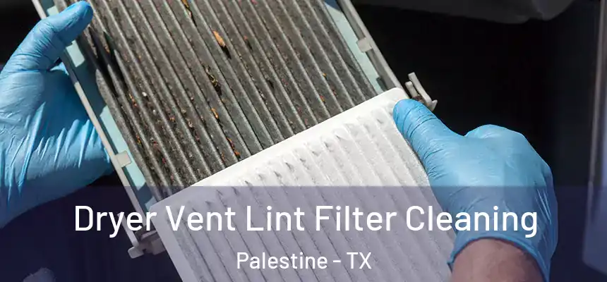  Dryer Vent Lint Filter Cleaning Palestine - TX