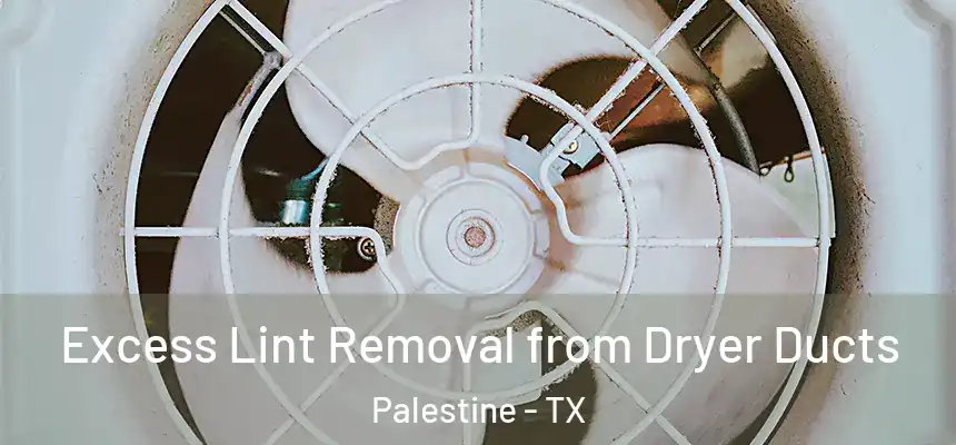  Excess Lint Removal from Dryer Ducts Palestine - TX
