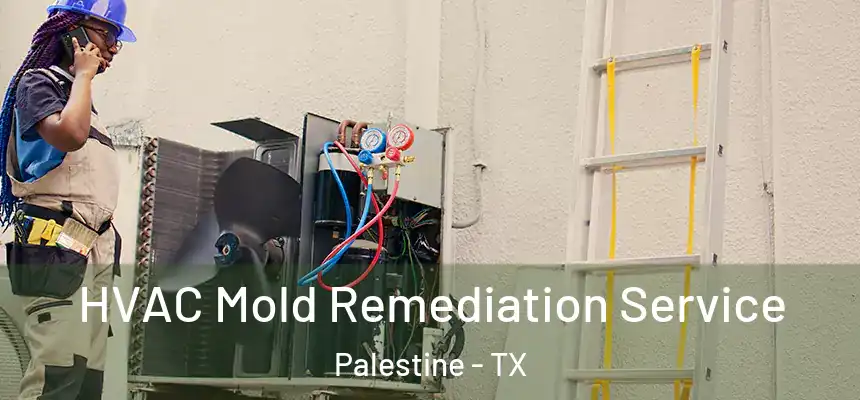  HVAC Mold Remediation Service Palestine - TX