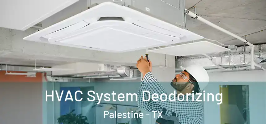  HVAC System Deodorizing Palestine - TX