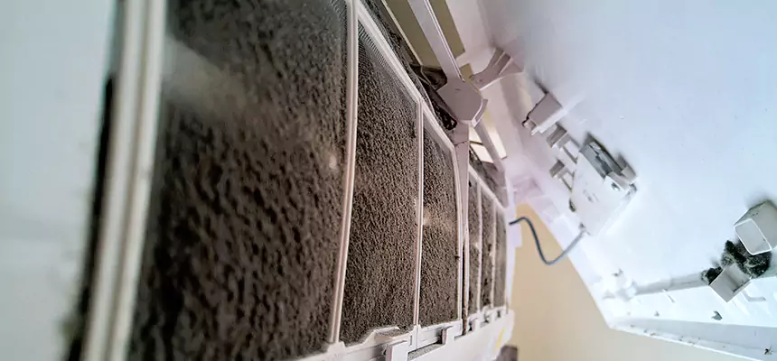 Preventive Air Duct Bacteria Removal in Palestine