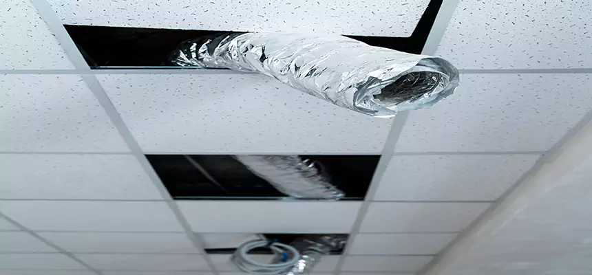 Affordable HVAC Sanitizing After Pest Removal in Palestine