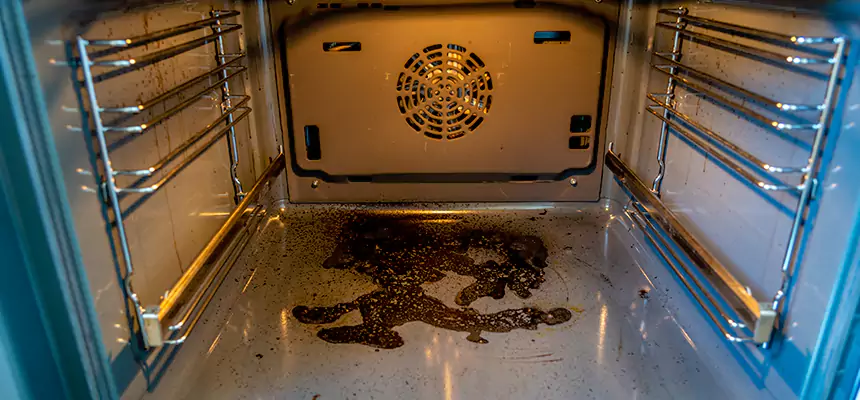 Our Dryer Vent Mold Cleaning Services in Palestine, TX