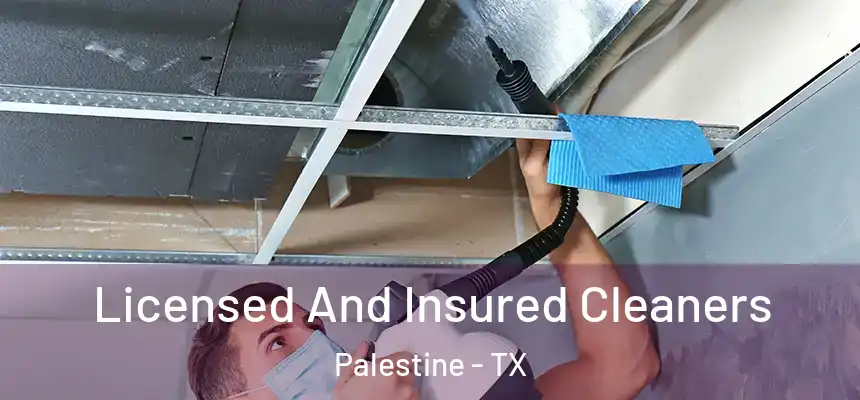  Licensed And Insured Cleaners Palestine - TX