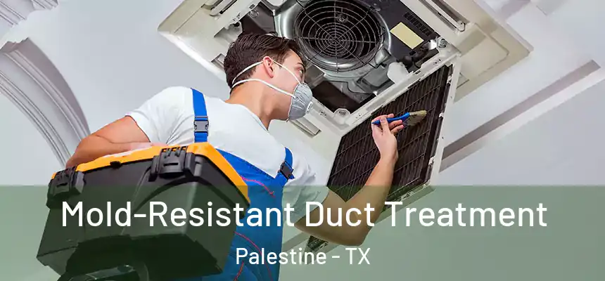  Mold-Resistant Duct Treatment Palestine - TX