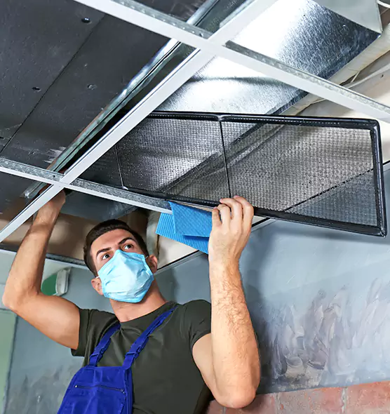 About Air Duct Bacteria Removal in Palestine