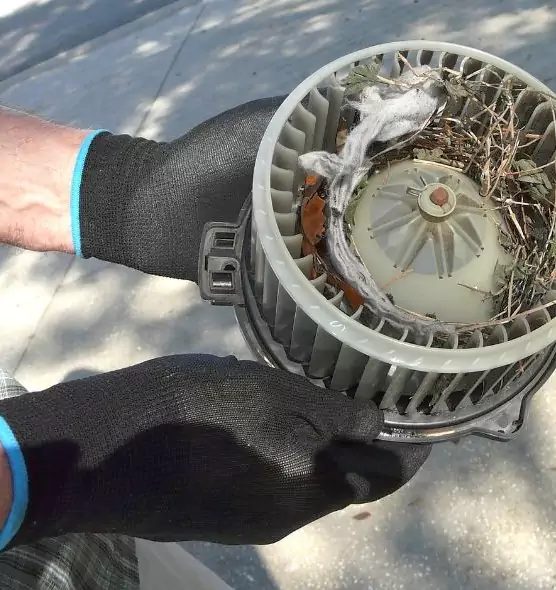 About Air Duct Mice Removal in Palestine, TX