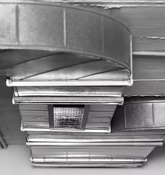 Professional Air Duct Pet Hair Removal in Palestine, TX