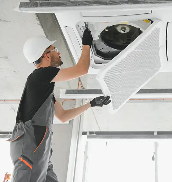 About Air Duct Rodent Removal in Palestine, TX