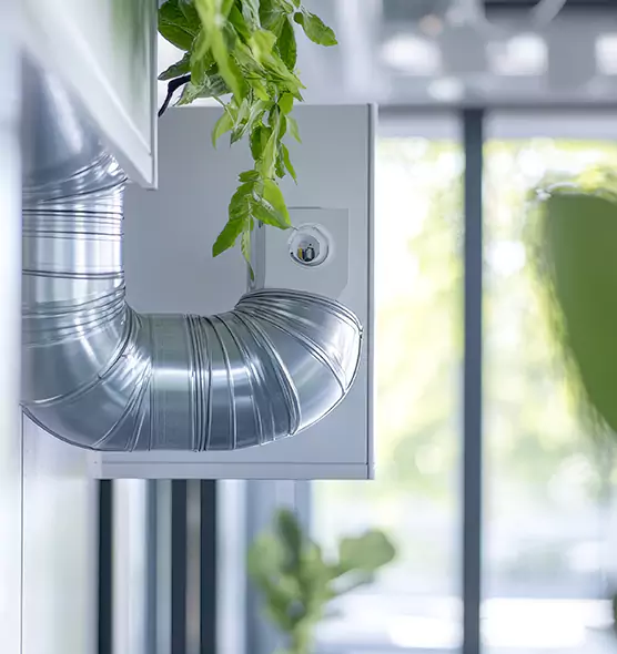 Professional Eco-Safe Dryer Vent Cleaning in Palestine, TX