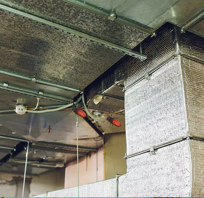 Why Homeowners & Businesses Trust Us Palestine, TX?